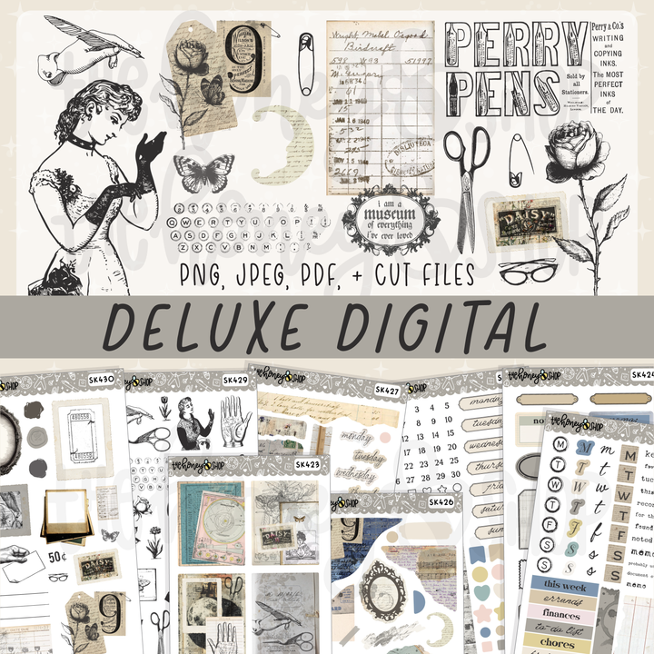 Deluxe Digital Babe Box Subscription