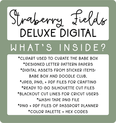 Deluxe Digital Babe Box Subscription